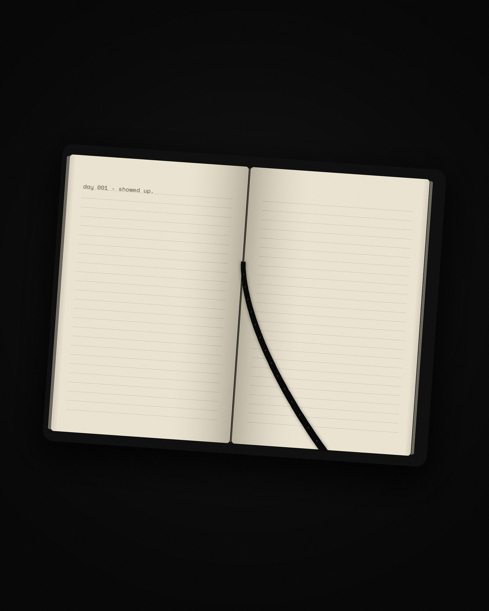 THE COLD JOURNAL — image 4